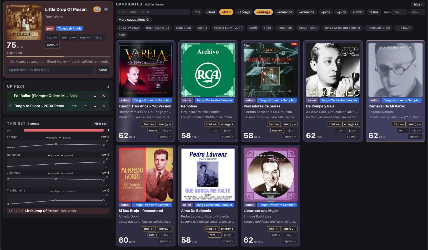 The Incarnadine console: now-playing card, queue, set stats, and a board of eight candidate cards with move labels and BPM badges